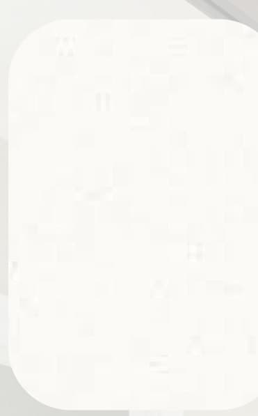 Branco Liso (Intense White)